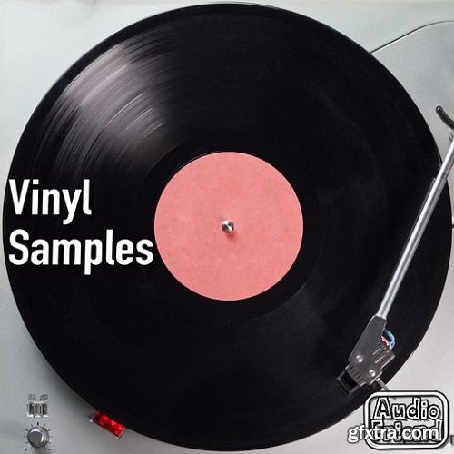 AudioFriend Vinyl Samples WAV-RYZEN