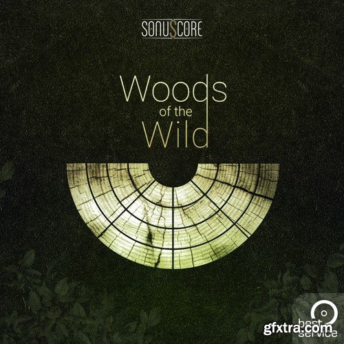 Best Service TO - Woods Of The Wild KONTAKT-ViP