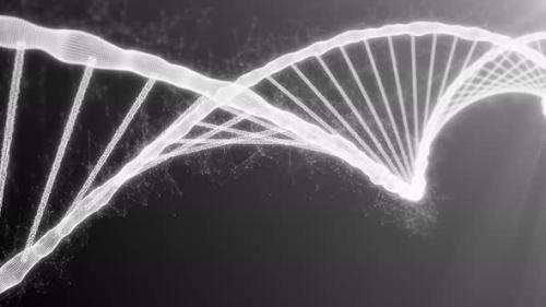 Videohive - Microscope view to destruction of the dna helix strand for the molecules atoms 4k - 42181743 - 42181743