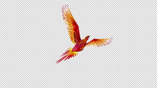 Videohive - Phoenix Bird - Hot Red - Flying Loop - Back Angle View - Alpha Channel - 42182455 - 42182455