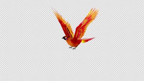 Videohive - Phoenix Bird - Hot Red - Flying Loop - Side Angle View - Alpha Channel - 42182457 - 42182457