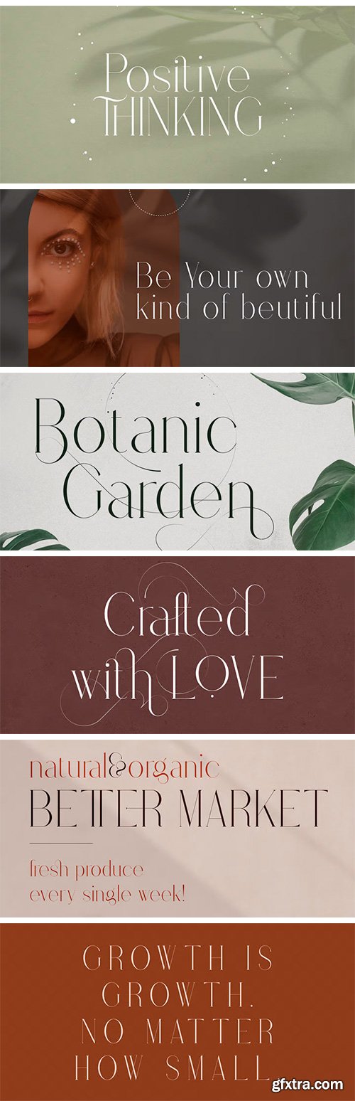 Stolen Love Font Family