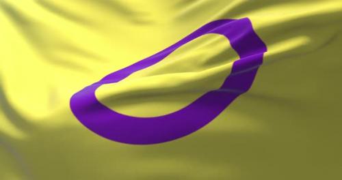 Videohive - Intersex Pride Flag - 42155946 - 42155946