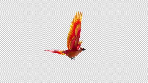 Videohive - Phoenix Bird - Hot Red - Flying Transition III - 42182447 - 42182447