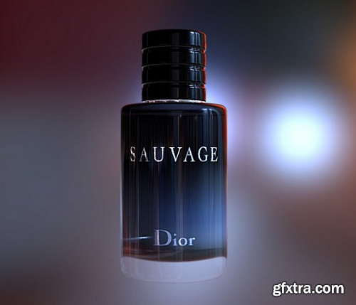 Dior Sauvage 3D Model