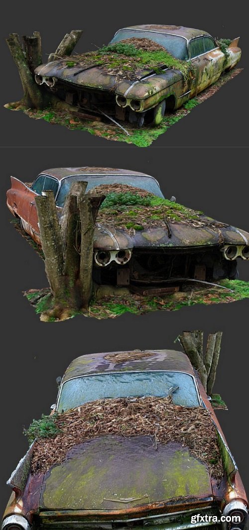 Garden Cadillac (Raw Scan) 3D Model
