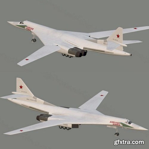 Tupolev Tu-160 Strategic bomber 3D Model