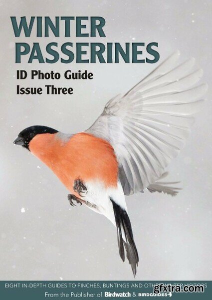 Bird ID Photo Guides – 09 December 2022