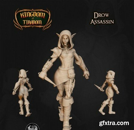 Kingdom of Tiradom - Drow Assassin - 3D Print Model
