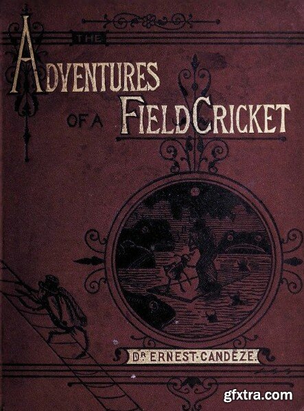 The Curious Adventures of a Field Cricket by Ernest Candeze