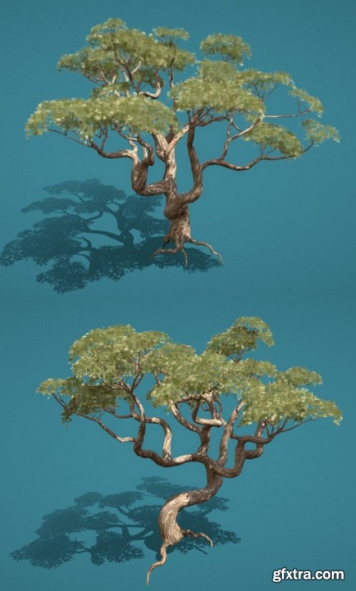 Old Tree 3D Model