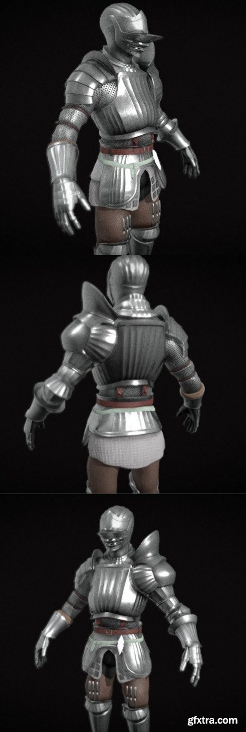 Demon Souls Fluted Knight 3D Model