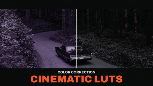 Videohive - LUTs Cinematic - 41936493 - 41936493