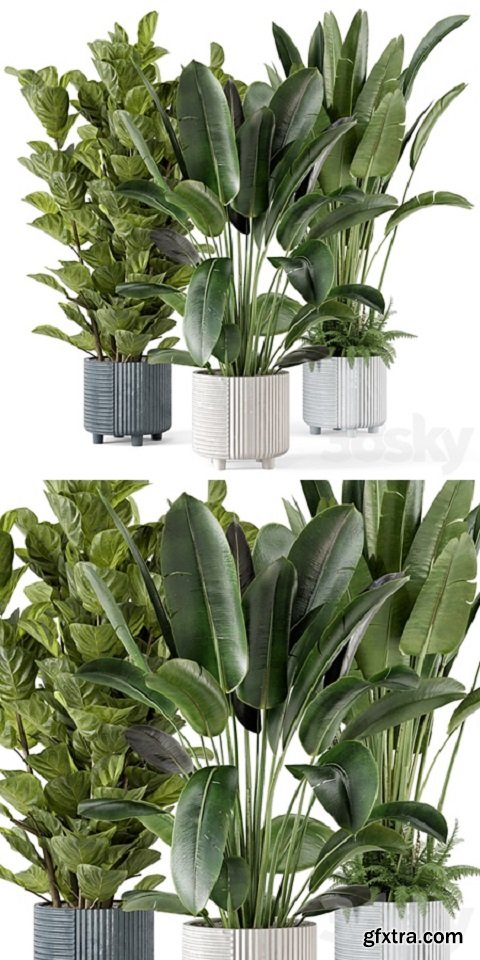 Indoor Planters in Cecilia Ficonstone Pot – Set 409