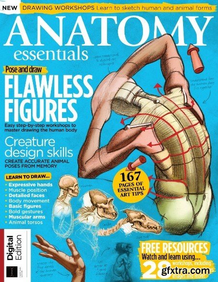 Anatomy Essentials – December 2022
