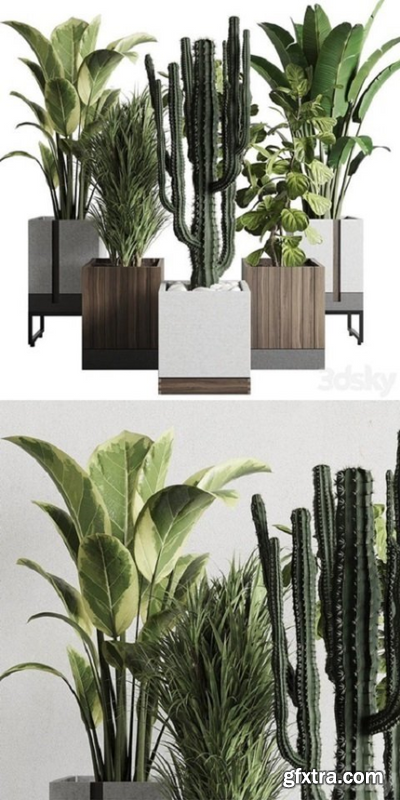 3DSky - Plant box_Indoor outdoor plant 163 wooden and concrete dirt vase box pot palm cactus Collection