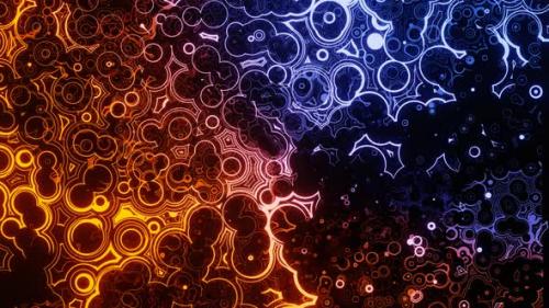 Videohive - Abstract Animation with Dynamic Glowing Neon Color Moving Circles and Curves - 42341732 - 42341732