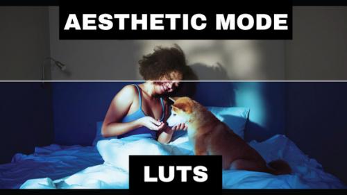 Videohive - LUTs Aesthetic - 42313906 - 42313906