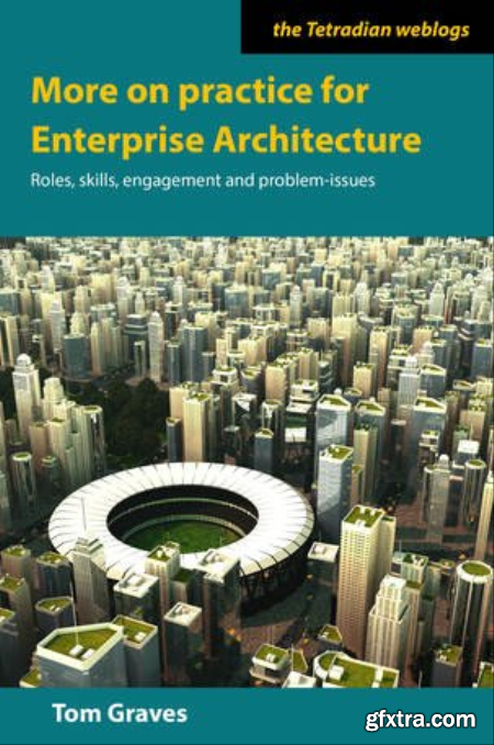 More on practice for Enterprise Architecture  Roles, skills, engagement and problem-issues