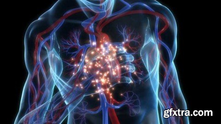 Heart Failure Basics & Management