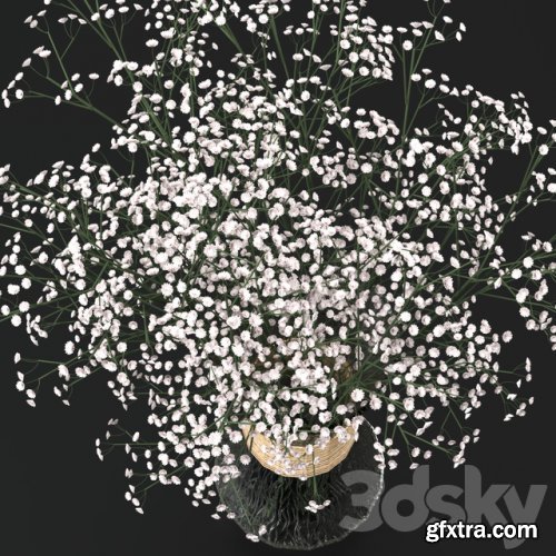 Bouquet of gypsophila