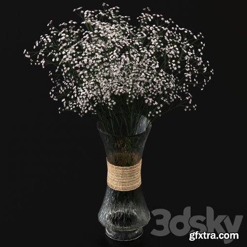 Bouquet of gypsophila