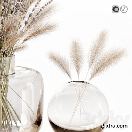 Dry flowers in glass vase with lavender