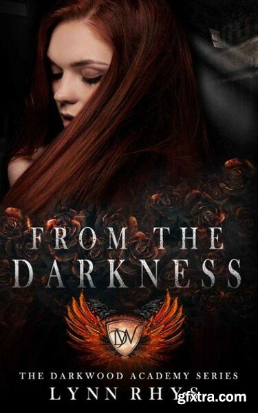 From the Darkness - Lynn Rhys