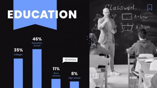 MotionArray - Infographic Demographics - 1330720