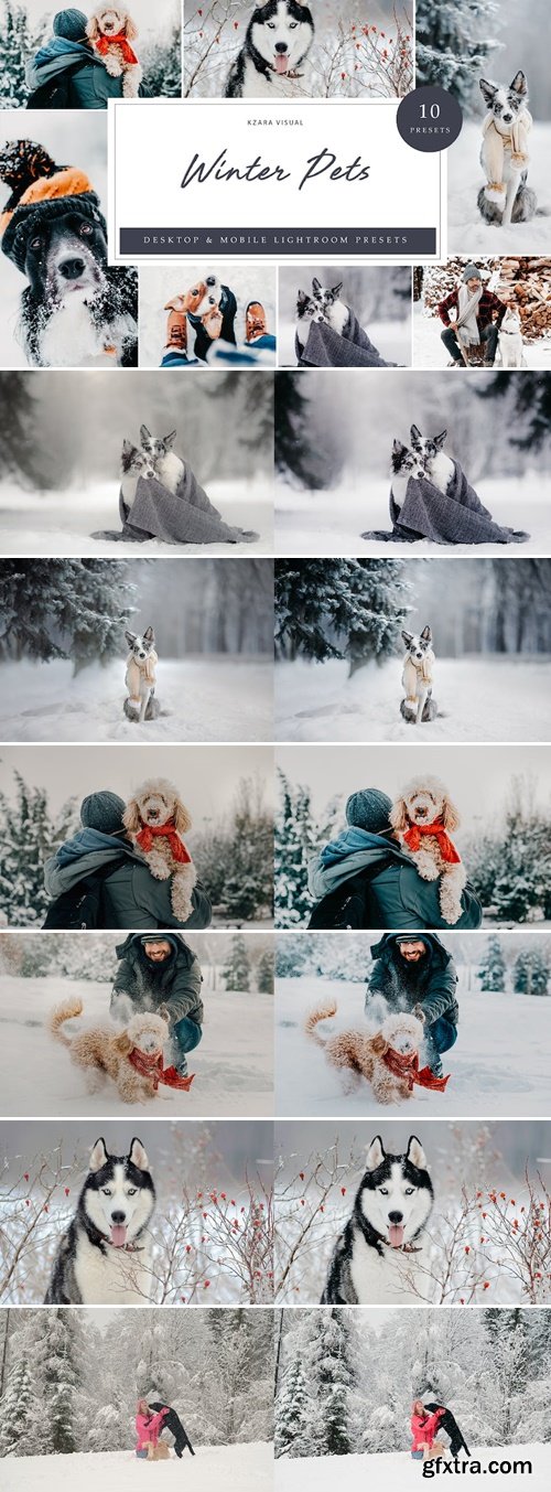 10 x Lightroom Presets, Winter Pets Presets AZYQWQ2