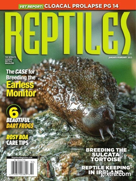 Reptiles - January 2023