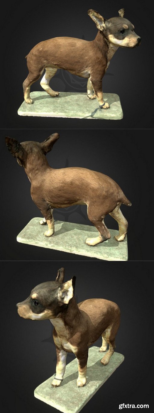 Miniature Pinscher 3D Model