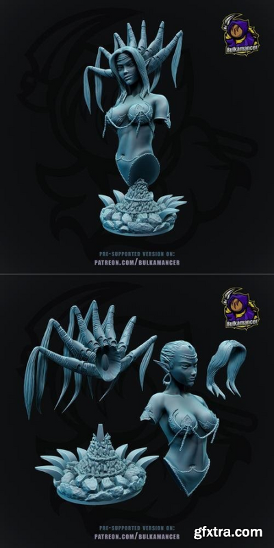 Nocticula - Pathfinder - Wrath of the Righteous bust – 3D Print