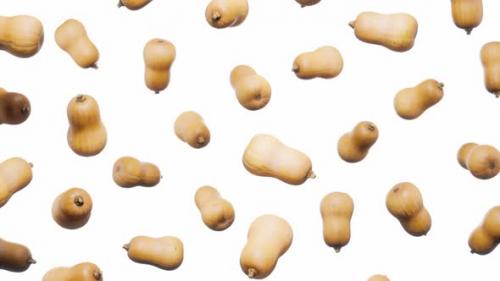 Videohive - Seamless Floating Butternut Squashs on White - 42509242 - 42509242