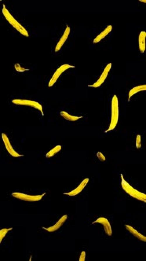 Videohive - Vertical Falling Bananas on Alpha - 42509261 - 42509261