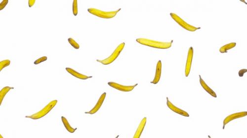 Videohive - Endlessly Falling Bananas on White - 42509262 - 42509262