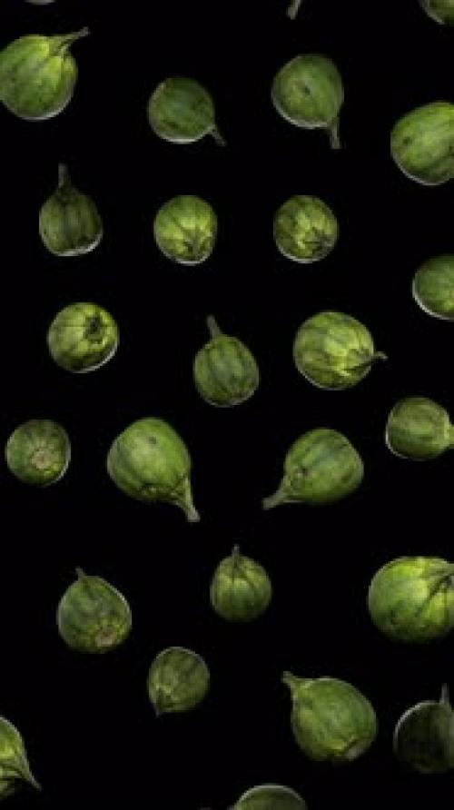 Videohive - Vertical Floating Round Gourds on Alpha - 42509267 - 42509267