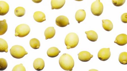 Videohive - Seamless Floating Lemons on White - 42509277 - 42509277