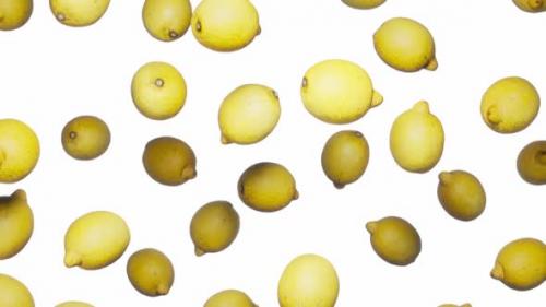 Videohive - Endlessly Falling Lemons on White - 42509284 - 42509284