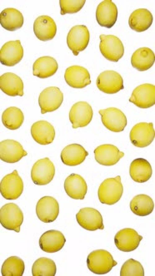 Videohive - Vertical Falling Lemons on White - 42509278 - 42509278