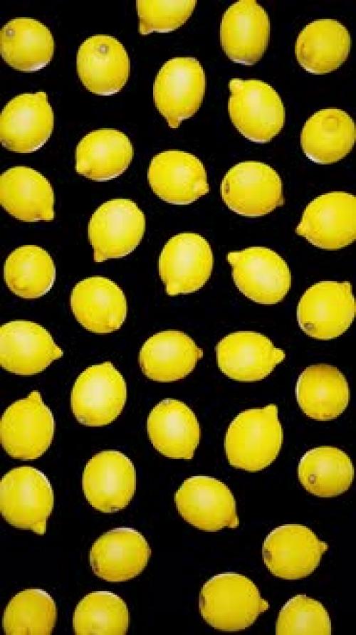 Videohive - Vertical Falling Lemons on Alpha - 42509296 - 42509296