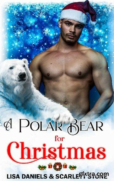 A Polar Bear for Christmas  An - Lisa Daniesl