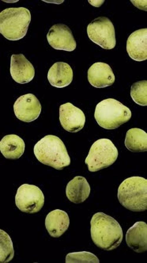 Videohive - Vertical Floating Guavas on Alpha - 42509308 - 42509308