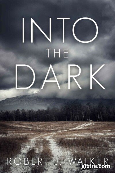 Into the Dark by Robert J  Walker