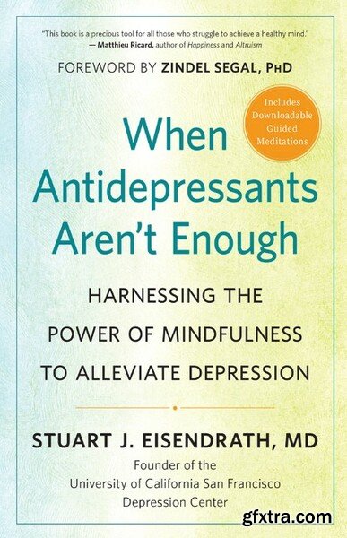 When Antidepressants Aren\'t Enough by Stuart J  Eisendrath