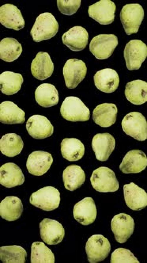 Videohive - Vertical Falling Guavas on Alpha - 42509334 - 42509334