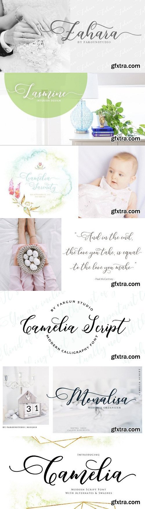 Camelia Script Font Family