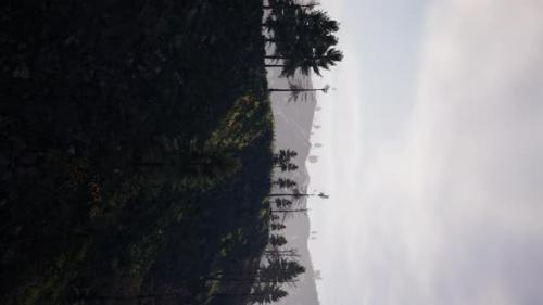 Videohive - Vertical Video of Misty Foggy Mountain Landscape with Fir Forest - 42551980 - 42551980