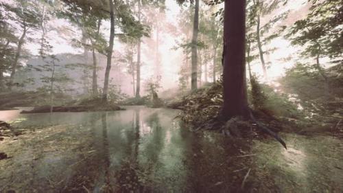 Videohive - Misty Dawn Over Lake Forest - 42558566 - 42558566