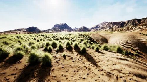 Videohive - Stoney Desert in Outback Australia - 42558672 - 42558672